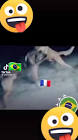 Profile Picture of   Alex Neto (@63475447ufdhc)... (@63475447ufdhc) on Tiktok