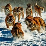 Profile Picture of John Pinto (@john.pinto.54390) on Instagram