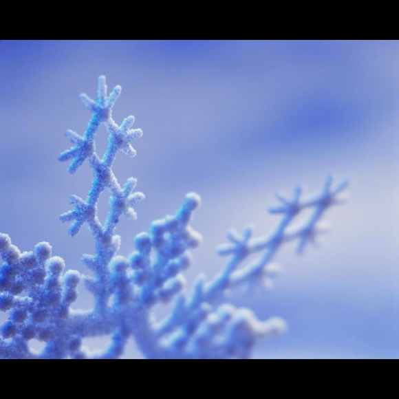 Profile Picture of Joan Ticknor (@jticknor) on Poshmark