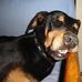 Profile Picture of Kim Wismer (@kim.wismer.3) on Facebook