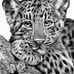 Profile Picture of Michael Schott (@michael.schott.73550) on Facebook