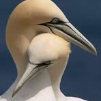 Profile Picture of Tariq Noon (@tariq.noon.1) on Facebook