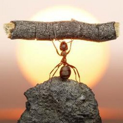 Profile Picture of Greg Laughnan (@greglaughnan) on Twitter