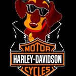 John Foutch - Instagram Profile Picture of John Foutch (@foutch012370) on Instagram