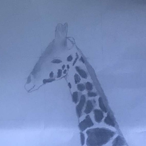 Profile Picture of Leah Adamsky (@ladamsky) on Poshmark