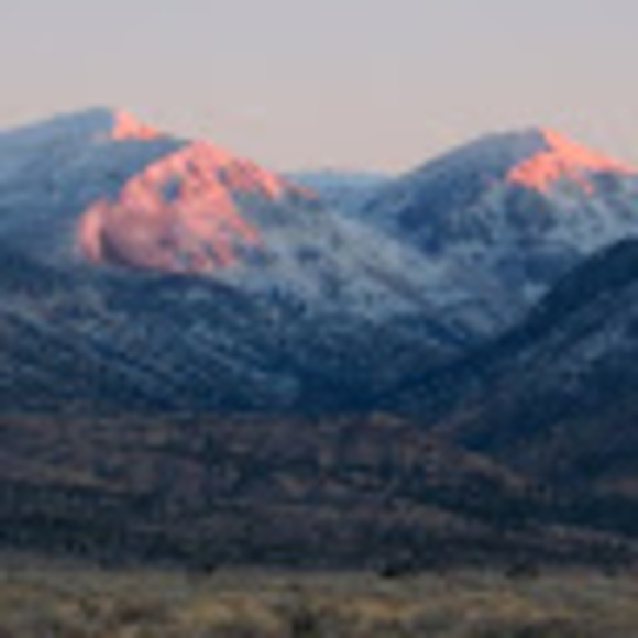 Profile Picture of Addie Stroemple (@stroemple3) on Poshmark