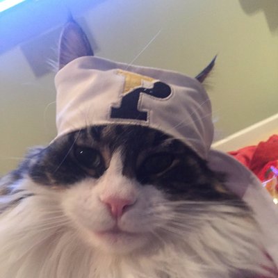 Profile Picture of Tim Cairns (@TimPCairns) on Twitter