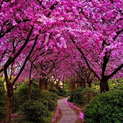 Shawna Snyder - Twitter Profile Picture of Shawna Snyder (@crazymom3boys) on Twitter