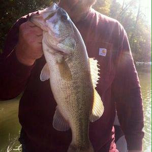 Profile Picture of Jonathan Blanton (@jonathan00461) on Twitter