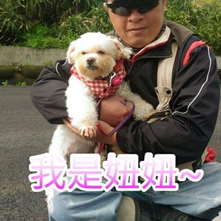 Profile Picture of Johnson Yeh (@Johnson-Yeh) on Facebook