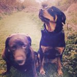 Profile Picture of Darren Badger (@maddaz_01) on Instagram