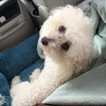 Profile Picture of Lola Grace (@lola_nutter) on Instagram