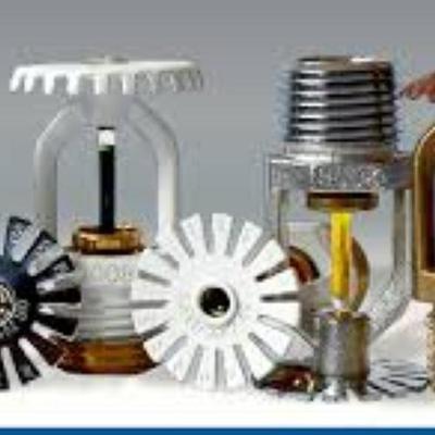 Profile Picture of Dave Speed (@dspeedwfes) on Twitter