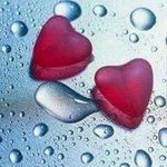 Profile Picture of Brenda Dodgen (@brenda.dodgen.sa) on Instagram