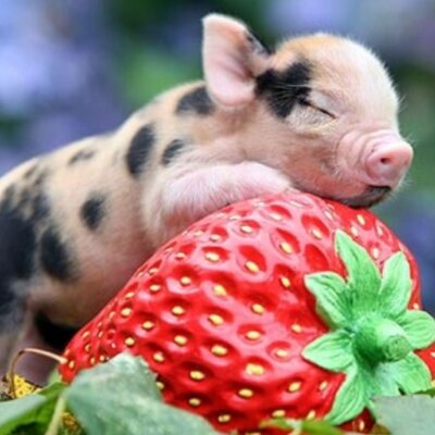 Profile Picture of Jayne James (@JayneJames2) on Twitter