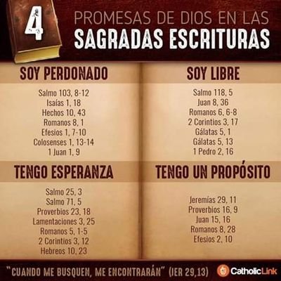 Profile Picture of Rigoberto Velasquez Aguilar (@Rigober20423204) on Twitter