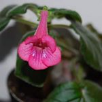 Profile Picture of Iris Walker (@iris.walker.5243) on Instagram