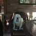 Profile Picture of Sherry Bernard (@Sherry-Bernard) on Facebook