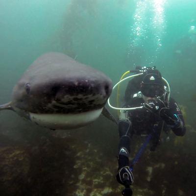 Profile Picture of Margo Sanchez (@sdg_margo) on Twitter