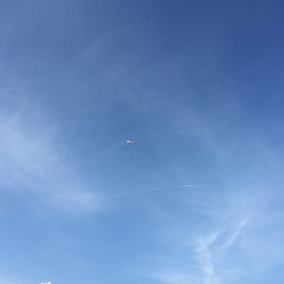 Profile Picture of Peter Loh (@Loh214091790) on Twitter