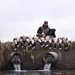 Profile Picture of nick_springmeyer (@nick_springmeyer) on Instagram