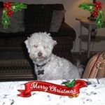 Profile Picture of patbohn (@patbohn1511) on Instagram