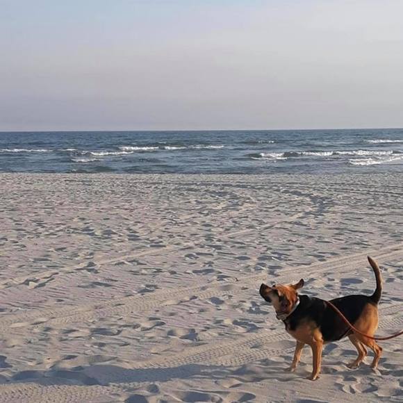 Profile Picture of Libby Wheeler (@libbywheeler45) on Poshmark