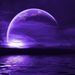 Profile Picture of Ella Wolfe (@ellawolfe1608) on Pinterest