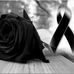 Profile Picture of Eduardo Soto (@eduardo.soto.526) on Facebook