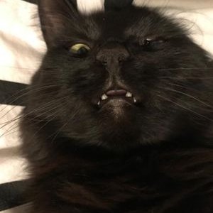 Profile Picture of BT (@MichaelLeber7) on Twitter