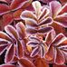 Profile Picture of Laurel Canyon (@laurel.canyon.54) on Facebook