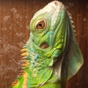 Profile Picture of Jason Allison (@jasonallison7850) on Youtube