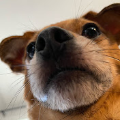 Profile Picture of Albert Gordon (@albertgordon5531) on Youtube