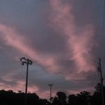 Profile Picture of josephinesthemetester (@josephinesthemetester) on Instagram
