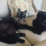 Profile Picture of maxine4860butcher (@maxine4860butcher) on Instagram
