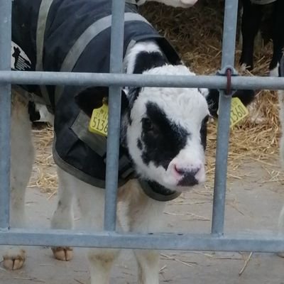 Profile Picture of Brendan Quinlan (@brendan8q) on Twitter