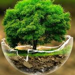 Profile Picture of Steven rowles (@screech113) on Instagram