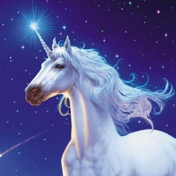 Profile Picture of Cassandra Robledo (@czrbldo) on Poshmark