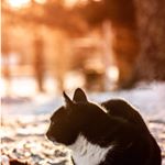 Profile Picture of Richard Nabbing (@photographernabbing) on Instagram