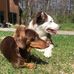 Profile Picture of Kelley James (@kelley.james.7355) on Facebook