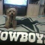 Profile Picture of Sean Fite (@sean.fite) on Instagram