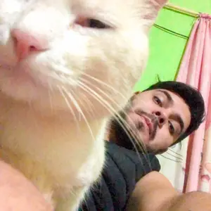 Profile Picture of Fernando Blanco (@@fernandoblanco53) on Tiktok