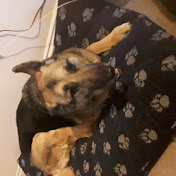 Profile Picture of Steve Higgins (@stevehiggins316) on Youtube