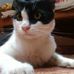 Profile Picture of Sapna Joseph (@sapna.joseph.35) on Facebook
