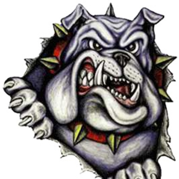 Profile Picture of Laney Vincent (@laneyvincent) on Poshmark