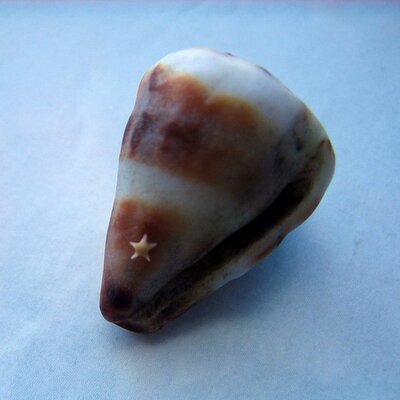 Profile Picture of Kelley Alison Smith (@@kelleyalison) on Twitter