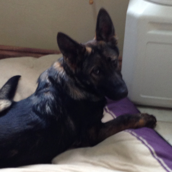 Profile Picture of Kate Mcspadden (@katemcspadden) on Poshmark