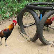 Profile Picture of Clark Johnson (@HauntedDarkStories) on Youtube