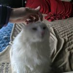 Profile Picture of Jeremy Ericson (@indigopretzels) on Instagram