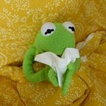 Profile Picture of Sapu (@sapu_1) on Instagram